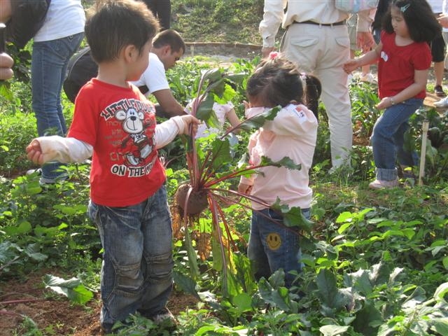 New Life Farm | Watchdog Early Education Centre